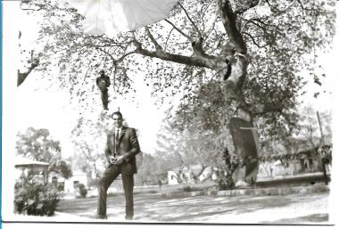 Nikitas Karavasileiadis photographed in front of a plane tree of Askos Volvi