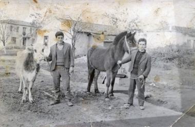 Livestock farmers with animals in Askos Volvi