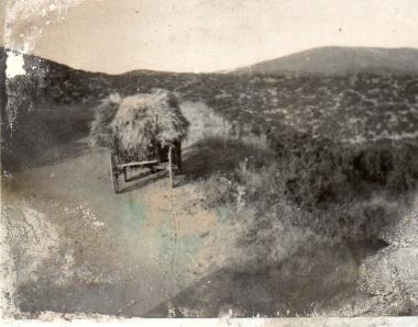 A cart transporting straw in the Volvi area