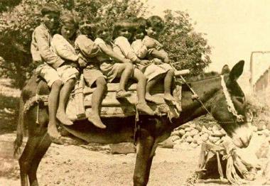Παιδιά φωτογραφίζονται πάνω σε γάιδαρο