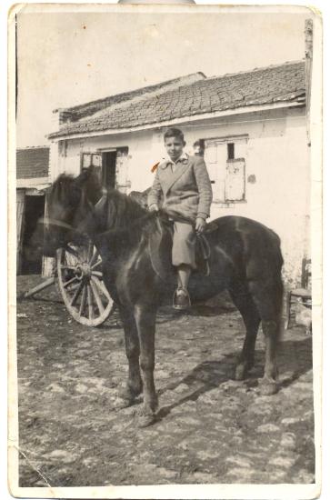 Solon Kourbetis with a horse in front of the family's stable.