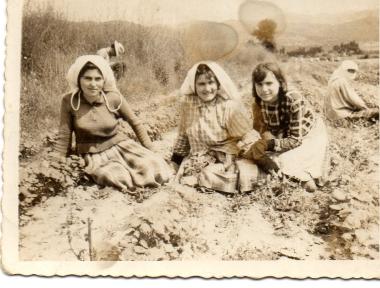 Female farmers in a field in Askos, Volvi