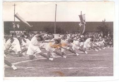 Gymnastics demonstrations of the 19th Primary School of Thessaloniki