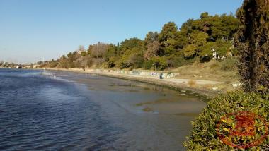 Η παραλία της Αρετσούς από την Ταβέρνα του Χαμόδρακα. Βλέπουμε τη παραλία κάτω από τα πεύκα μέχρι τη Μαρίνα.