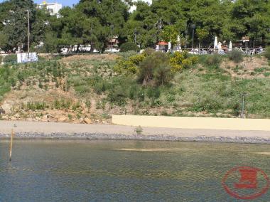 Continuation of the beach of Aretsous under the pine trees towards Chamodrakas