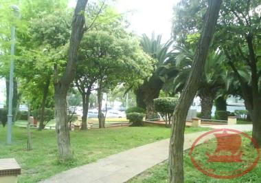 Part of the park of ''PLATEIA SKRA'', in Kouri of Kalamaria.