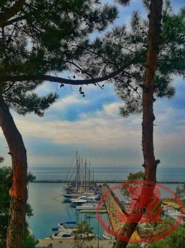 Μαρίνα Αρετσούς