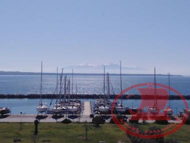 Μαρίνα Αρετσούς