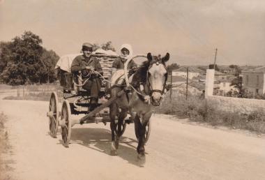 Τobacco farmer Samlidis Giorgos from Kyrgia.
