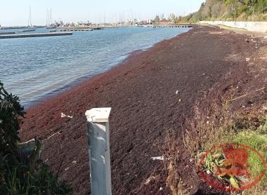 Aretsou Beach