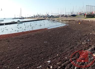 Aretsou Beach