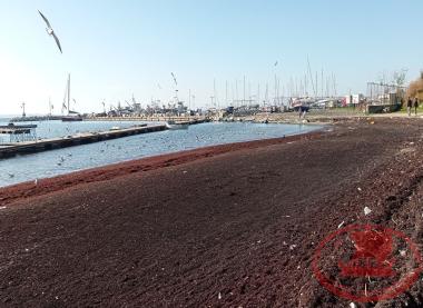 Aretsou Beach
