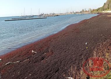 Aretsou Beach