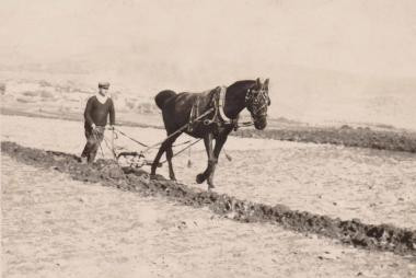 Σουβλέρης, Κύργια στα 1960..
