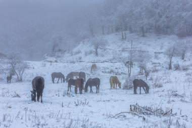 Metsovo - Milia - Anilio