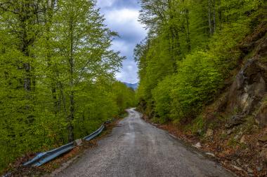 Metsovo - Milia - Anilio