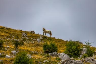 Mount Tymfi – Dragon Lake