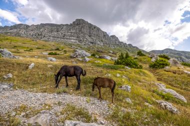 Mount Tymfi – Dragon Lake