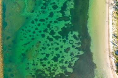 Beaches