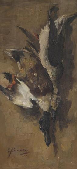 Αγριόπαπιες