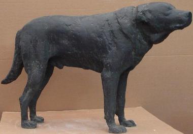 Ο σκύλος μου