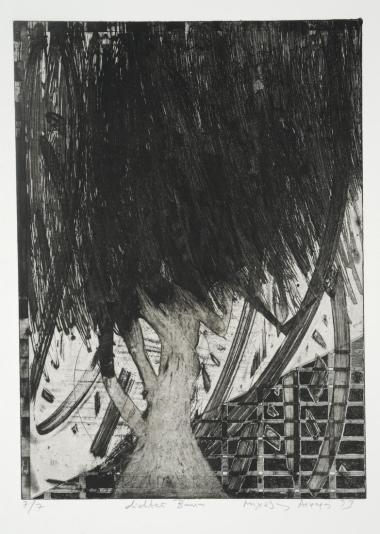 Πυκνό δάσος