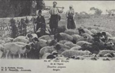 ΕΠΙΣΤΟΛΙΚΟ ΔΕΛΤΑΡΙΟ