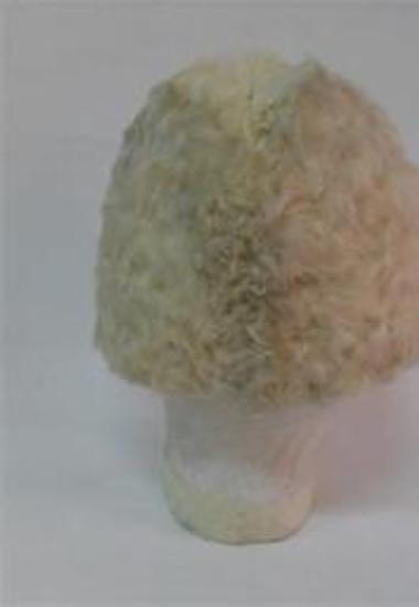 Καπέλο (σκούφος)