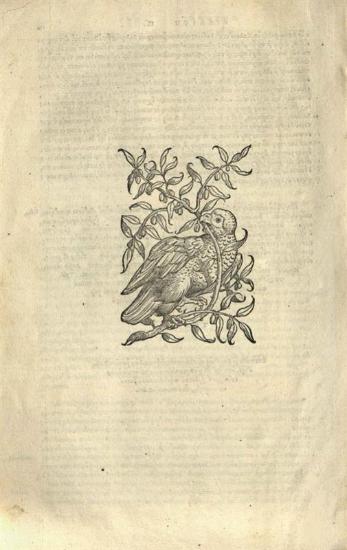 Ἀθήναιος, Ἀθηναίου Δειπνοσοφιστῶν Βιβλία πεντεκαιδέκα. Athenaei..., Βασιλεία, Apud Ioannem Valderum, Σεπτέμβριος 1535.