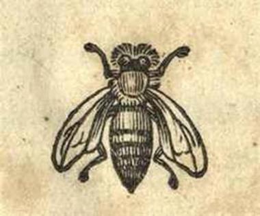 Νεόφυτος Βάμβας. Στοιχεῖα τῆς Φιλοσοφικῆς Ἠθικῆς ὑπὸ Νεοφύτου Βάμβα συνταχθέντος..., Βενετία, Νικόλαος Γλυκύς, 1818.