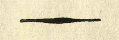 [Χριστόφορος Περραιβός]. Ἱστορία Σύντομος τοῦ Σουλίου καὶ Πάργας..., τ. Α´, Παρίσι [= Λιβόρνο], 1803.