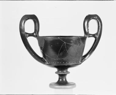 Μελαμβαφής κάνθαρος του Τεισίου