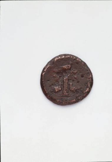 Χάλκινο νόμισμα με την ιερά δρυ και περιστέρια