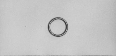 Χρυσός κρίκος