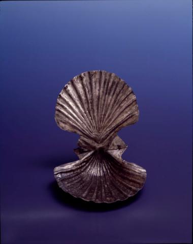 Αργυρό ομοίωμα θαλάσσιου οστρέου