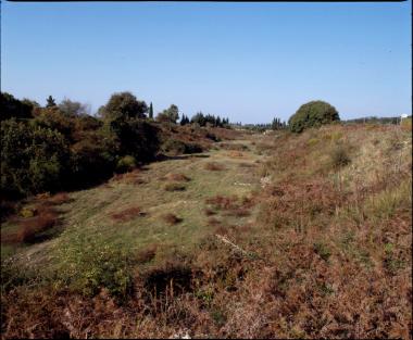 Χωρίς Τίτλο