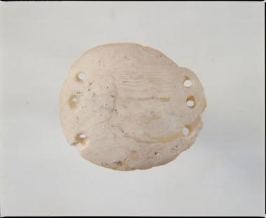 “Κουμπί” από όστρεο Spondylus gaederopus από το Μακρύγιαλο Πιερίας.