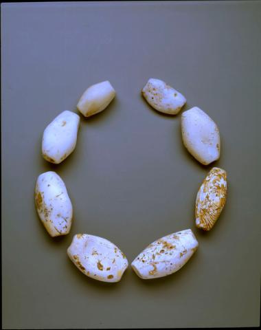 Χάντρες από όστρεο Spondylus gaederopus, που χαρακτηρίζονται από το ασυνήθιστα μεγάλο τους μέγεθος. Από το σπήλαιο Θεόπετρας Τρικάλων