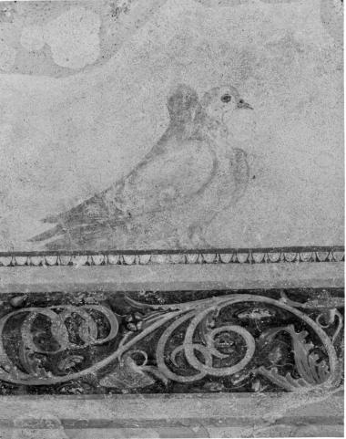 τοιχογραφία με περιστέρι