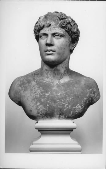 Προτομή νέου άντρα