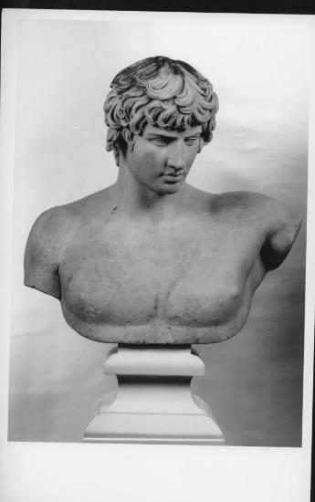 Προτομή Αντινόου