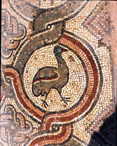 Βασιλική Α (Δουμετίου). Ψηφιδωτό δάπεδο του νάρθηκα, λεπτομέρεια.