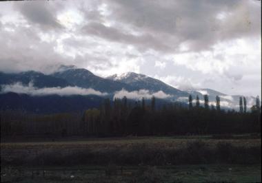 Χωρίς Τίτλο