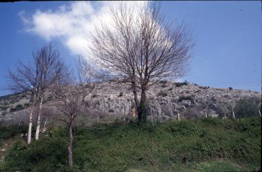 Χωρίς Τίτλο