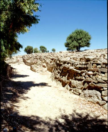 Χωρίς Τίτλο