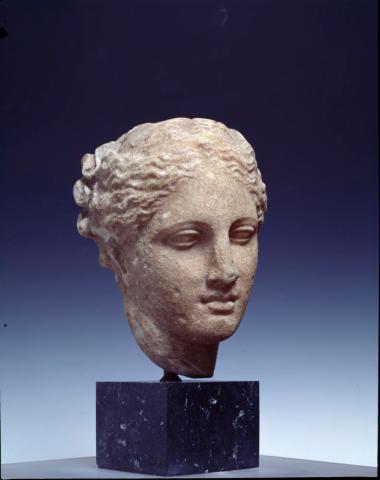 Γυναικεία κεφαλή (Υγεία)