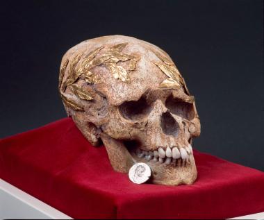 Κρανίο αθλητή με χρυσό στεφάνι