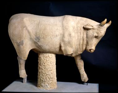 Μαρμάρινος ταύρος. Ανάθημα Ρηγίλλης στον Δία