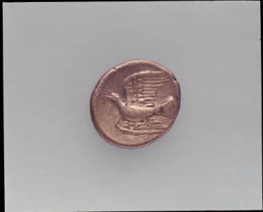 Αργυρό νόμισμα Σικυώνος (β` όψη)