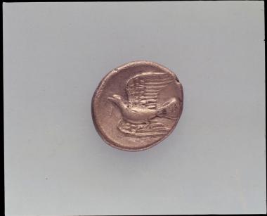 Αργυρό νόμισμα Σικυώνος (β` όψη)